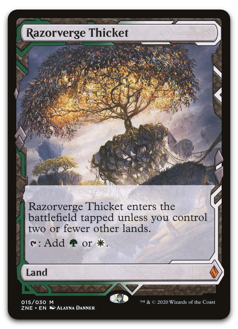 Razorverge Thicket #15 (NM) Zendikar Rising Expeditions ZNE Magic MTG - Foto 1 di 2